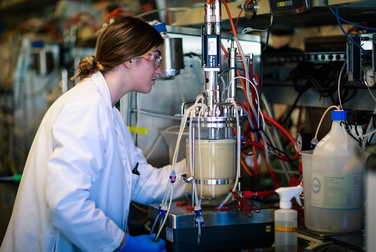 Amyris chemist working in a lab