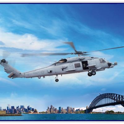 MH-60R Joint program 