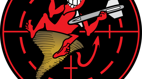 VX-31 logo